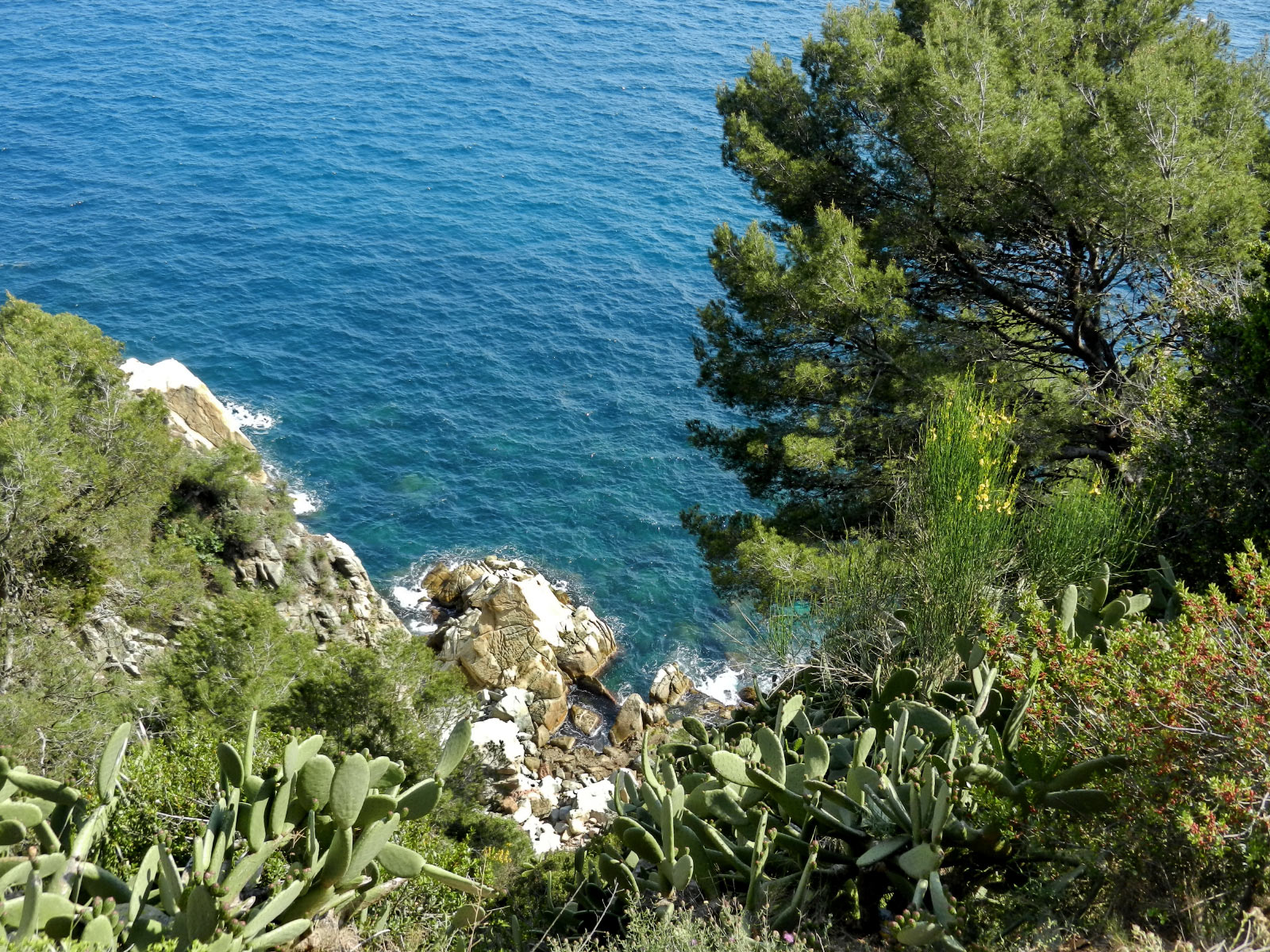 Tossa de Mar
